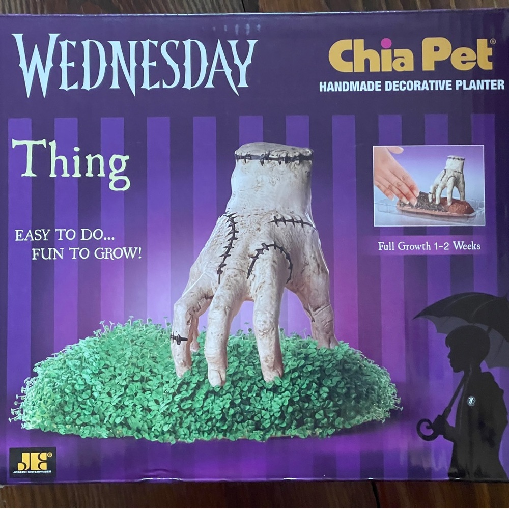 Wednesday - Thing Addams cha cha cha chia!!